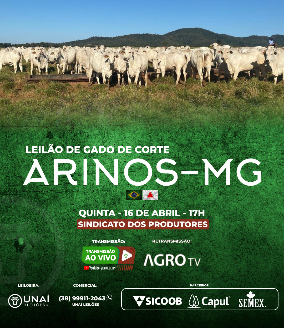 LEIL�O DE GADO DE CORTE DE ARINOS-MG