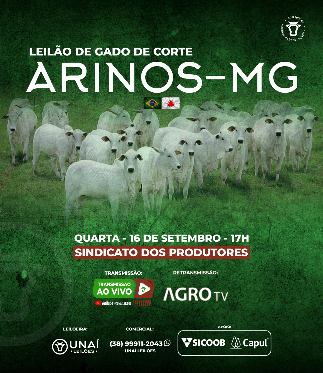 LEIL�O DE GADO DE CORTE DE ARINOS-MG