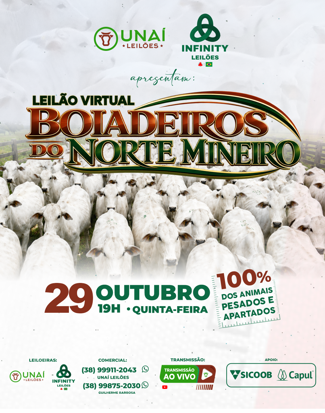 LEIL�O VIRTUAL BOIADEIROS DO NORTE DE MINAS