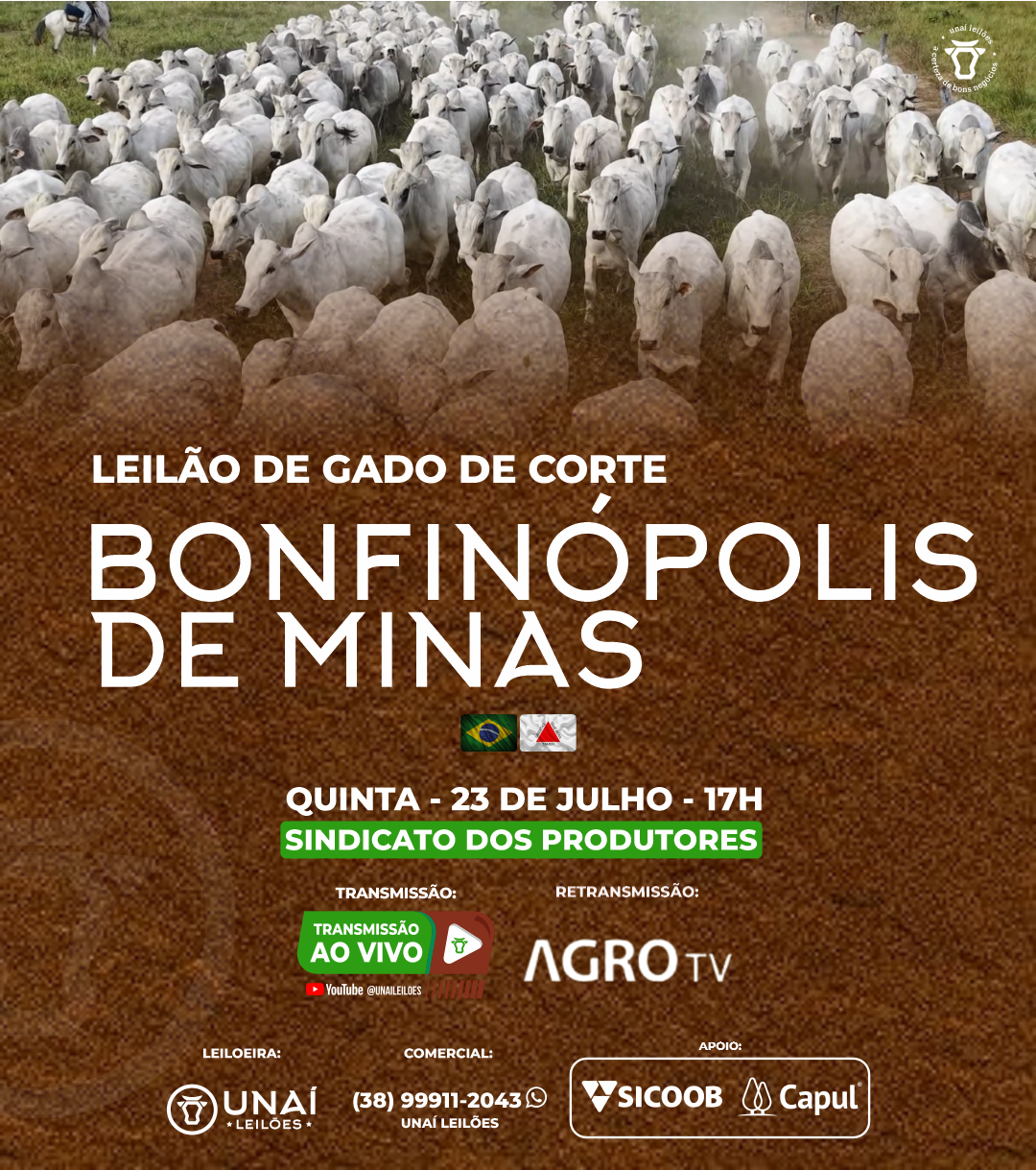 LEIL�O DE GADO DE CORTE DE BONFIN�POLIS DE MINAS-MG