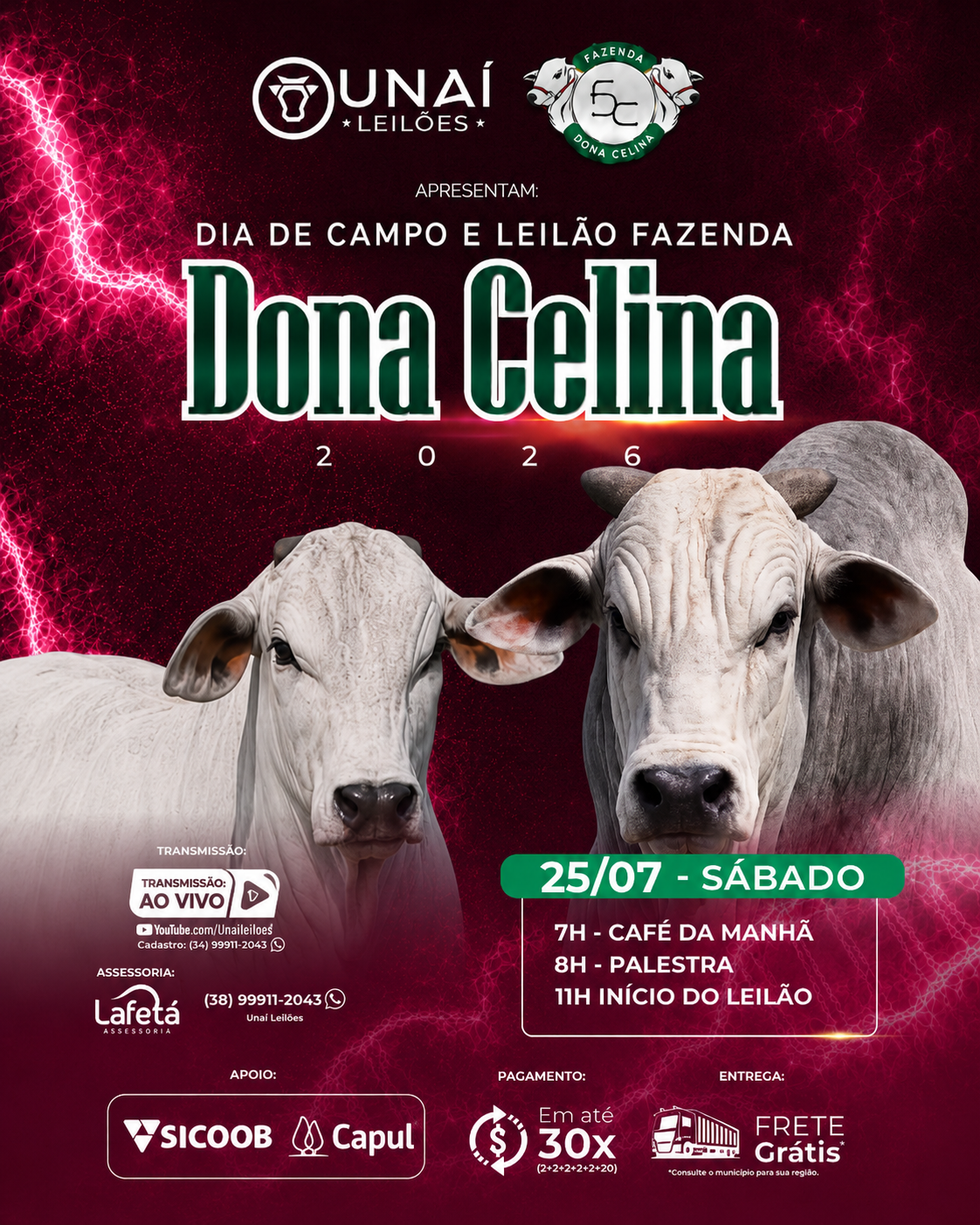 DIA DE CAMPO E LEIL�O FAZENDA DONA CELINA
