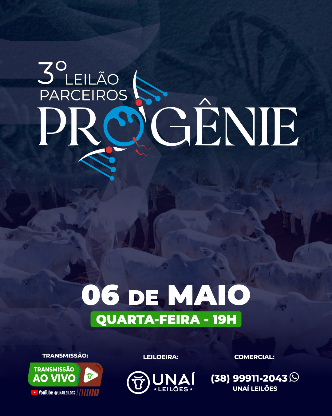 LEIL�O VIRTUAL PARCEIROS PROG�NIE AGRONEG�CIOS