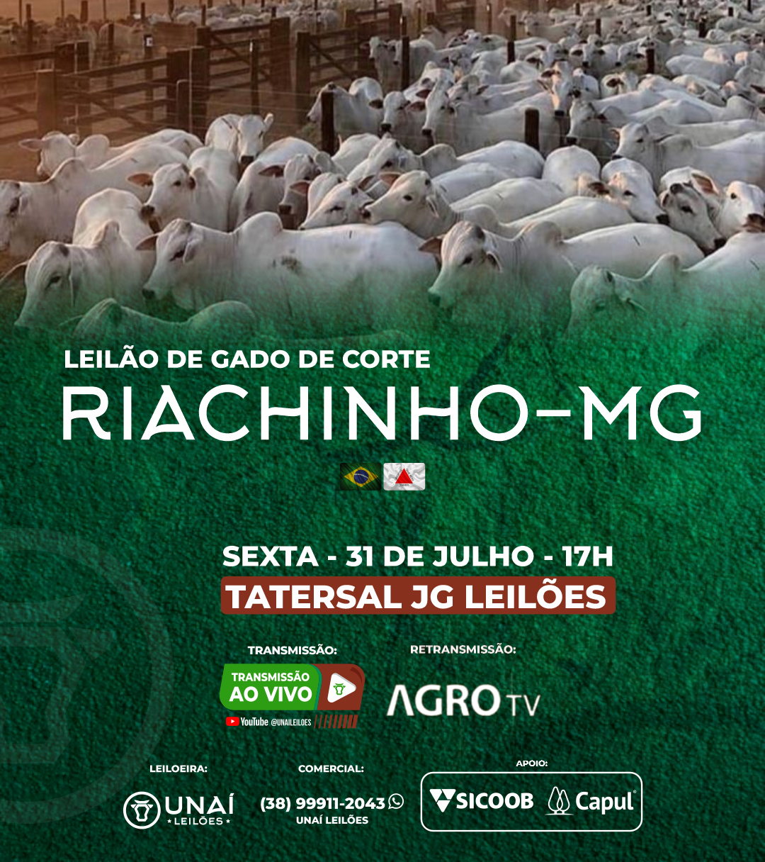 LEIL�O DE GADO DE CORTE DE RIACHINHO-MG