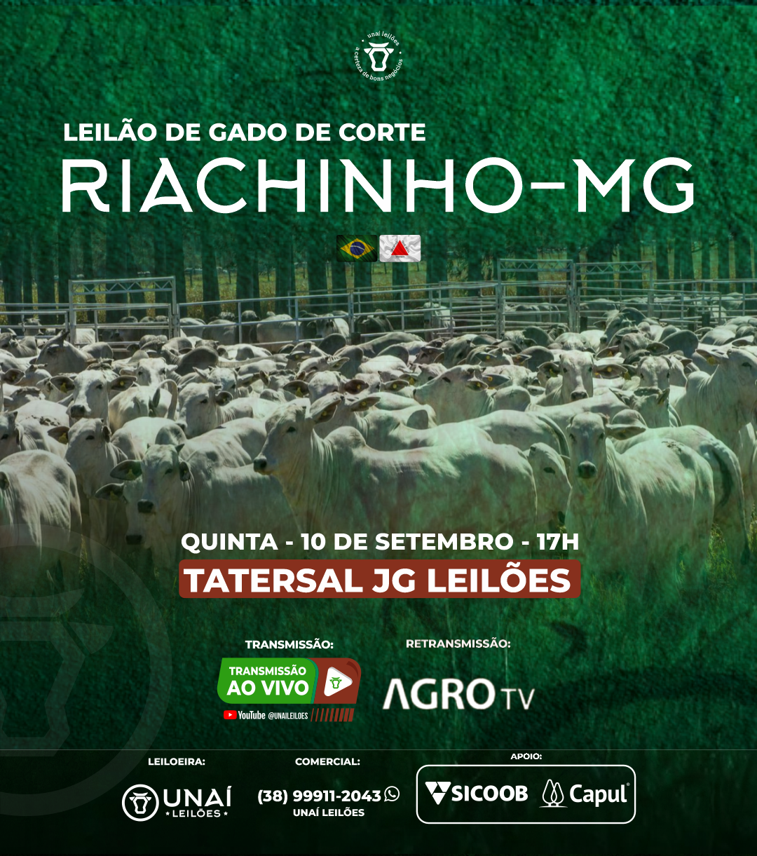 LEIL�O DE GADO DE CORTE DE RIACHINHO-MG
