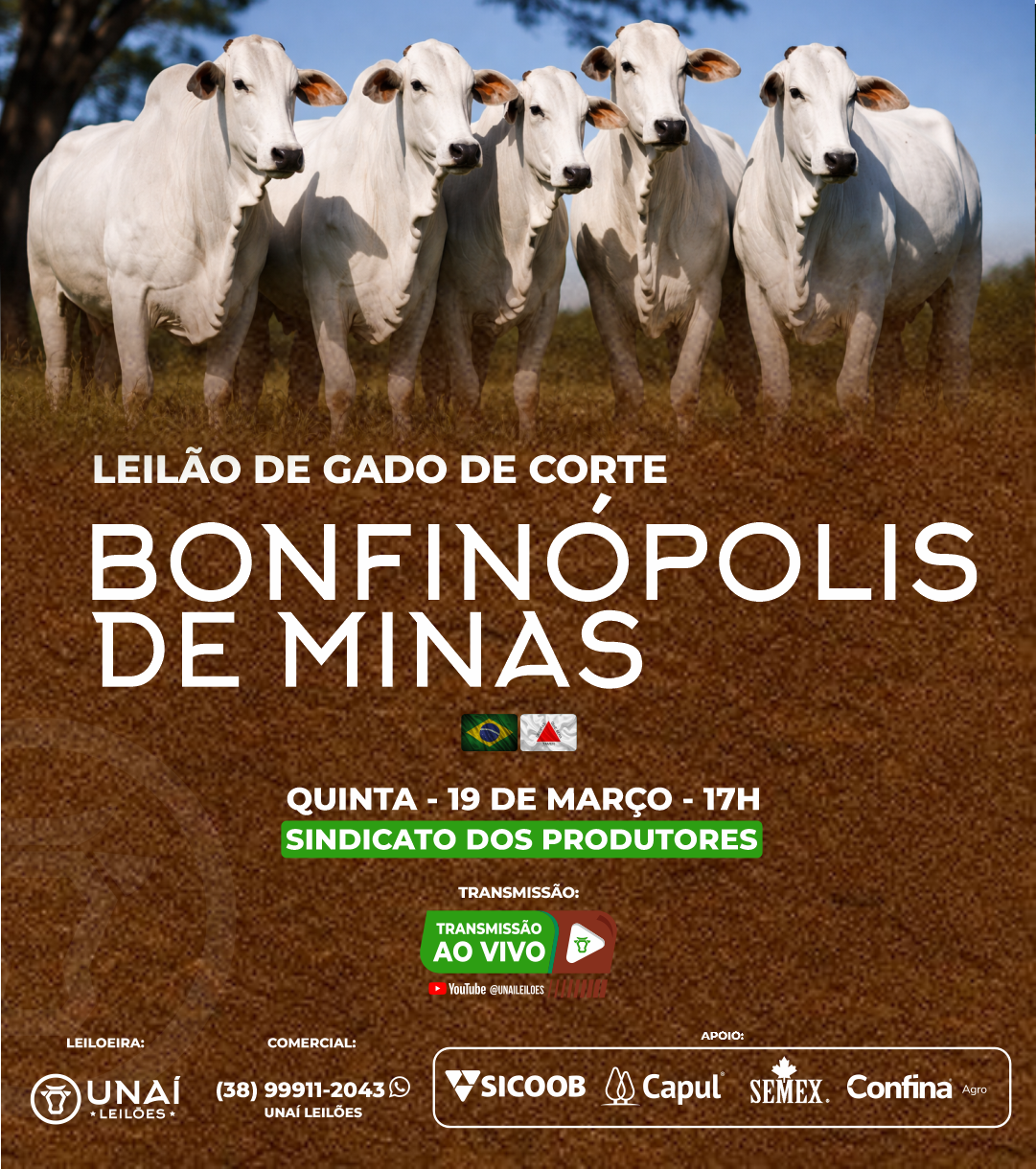 LEIL�O DE GADO DE CORTE DE BONFIN�POLIS DE MINAS-MG