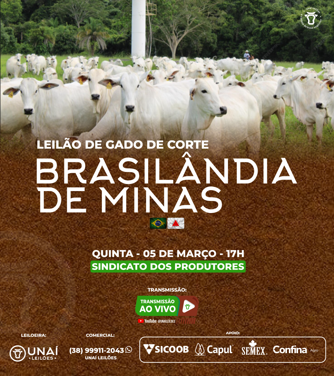 LEIL�O DE GADO DE CORTE DE BRASIL�NDIA DE MINAS-MG