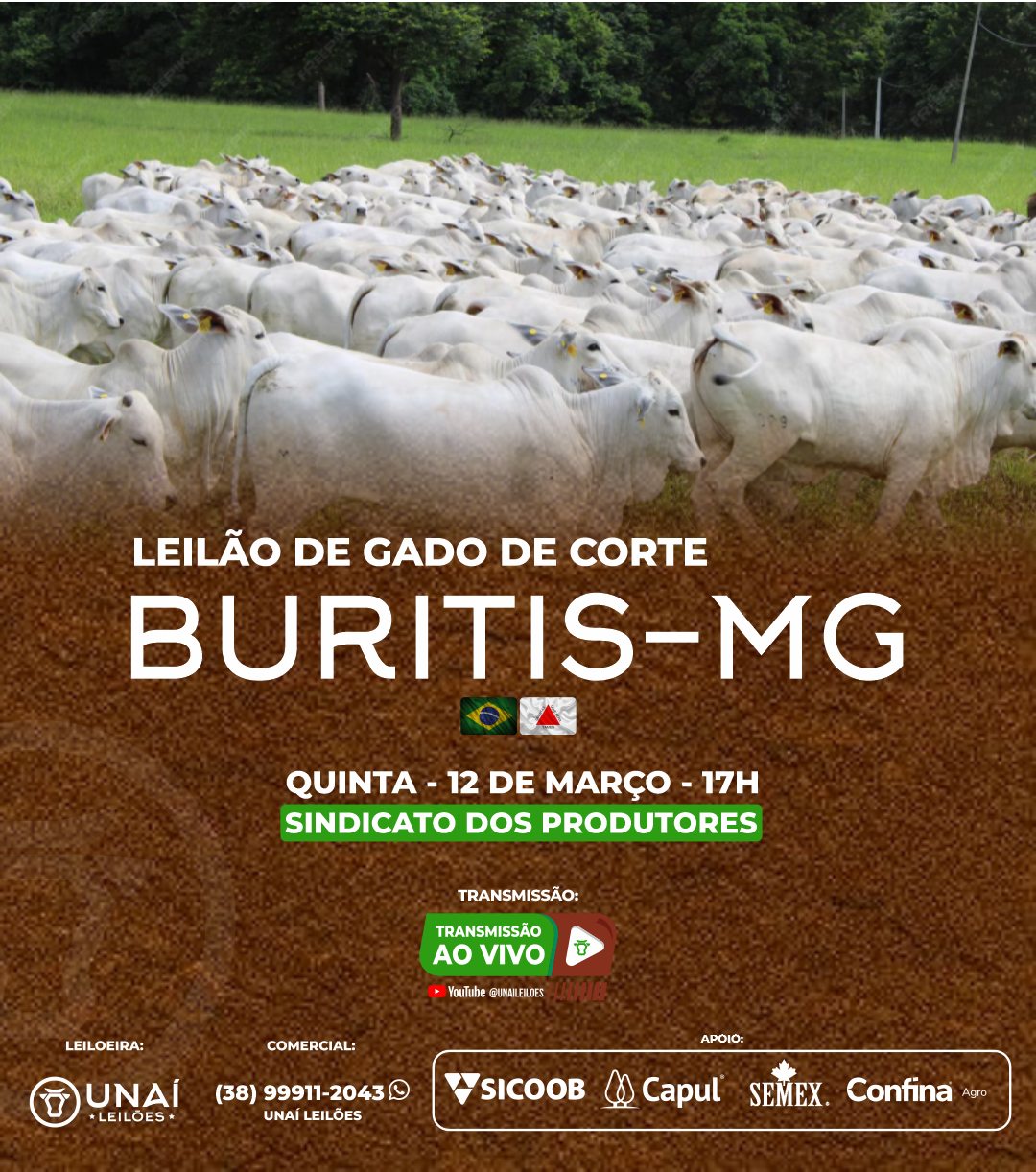 LEIL�O DE GADO DE CORTE DE BURITIS-MG