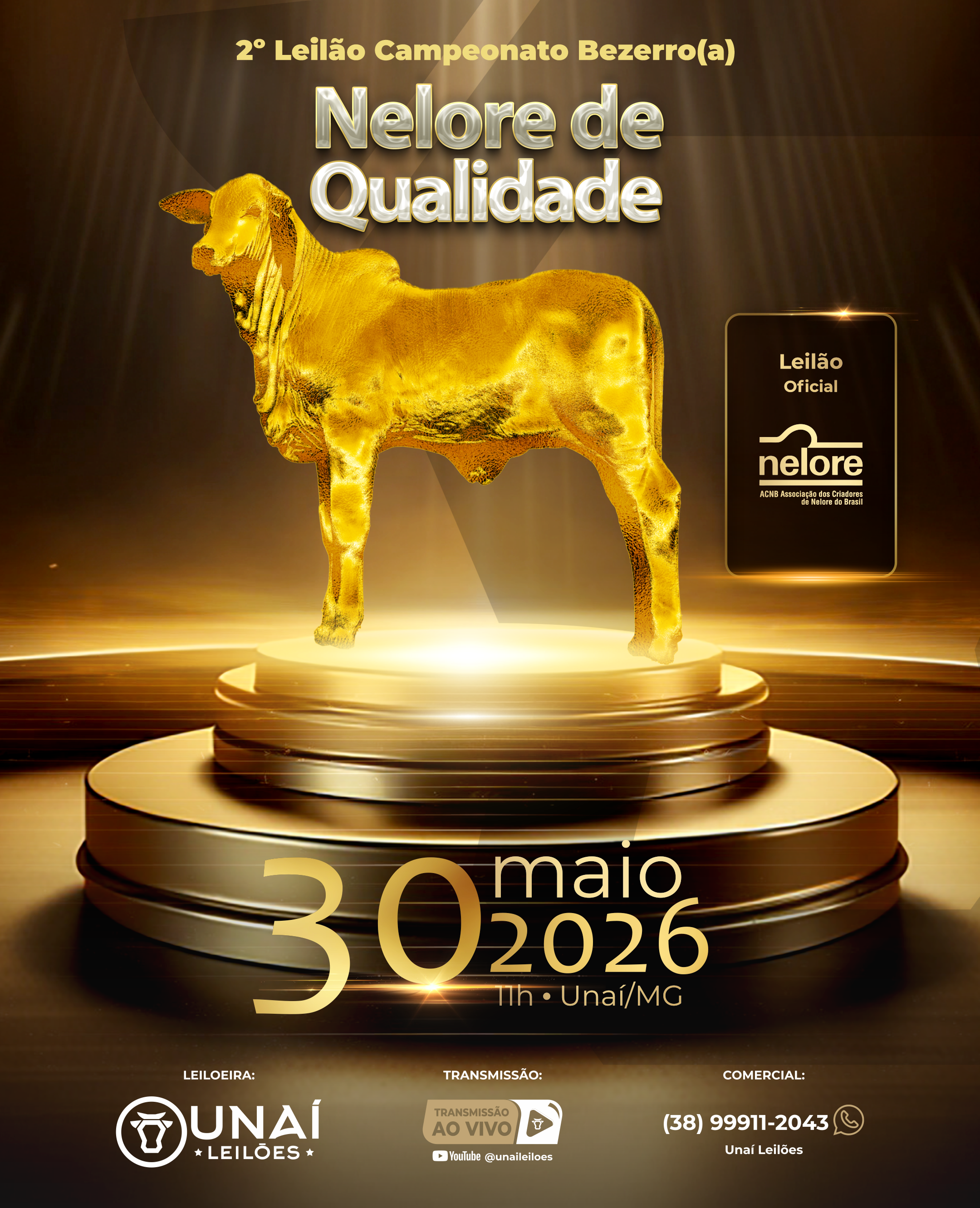 2� LEIL�O CAMPEONATO NELORE DE QUALIDADE