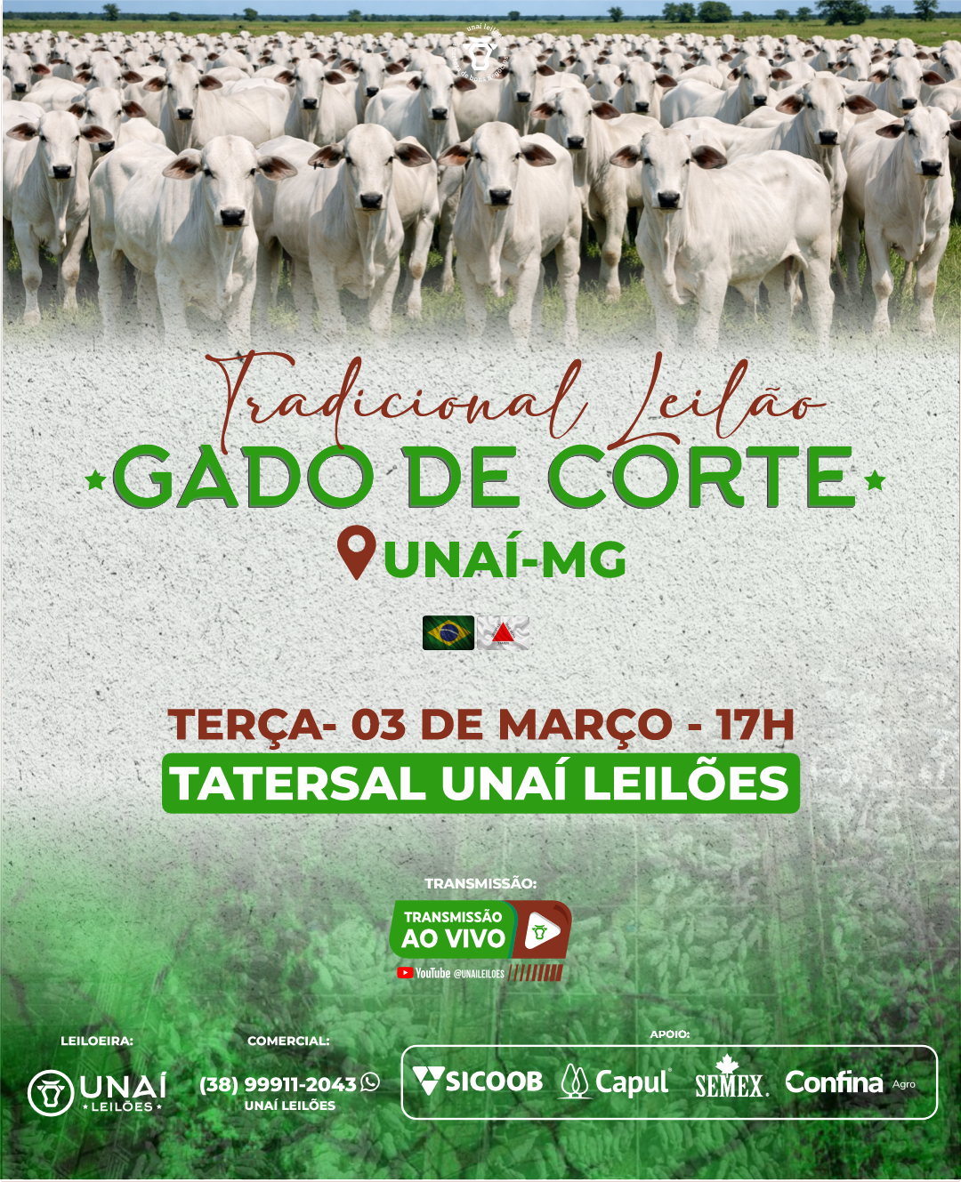 LEIL�O DE GADO DE CORTE DE UNA�-MG